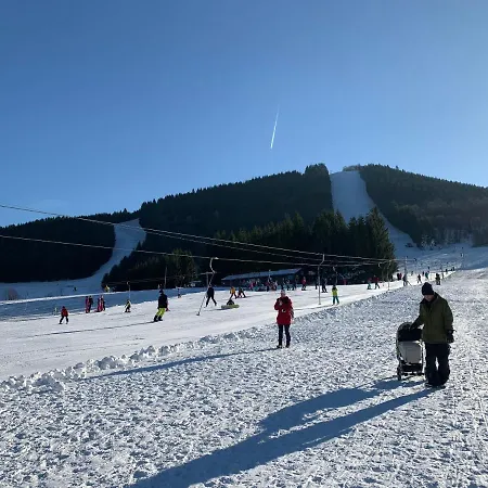 Prázdninový dům Nad Lipou - čičmany, Turistika, Sauna, Krb *