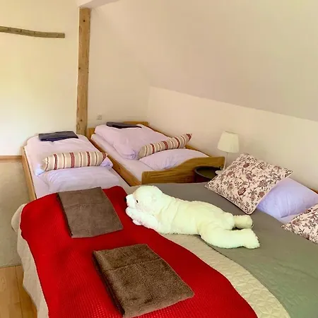 Nad Lipou - Cicmany, Turistika, Sauna, Krb Holiday home *