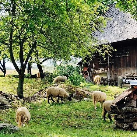 Nad Lipou - čičmany, Turistika, Sauna, Krb *